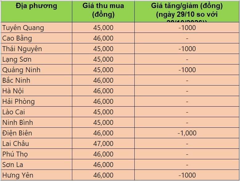 Bảng giá heo hơi tại miền Bắc hôm nay 29/10/2026
