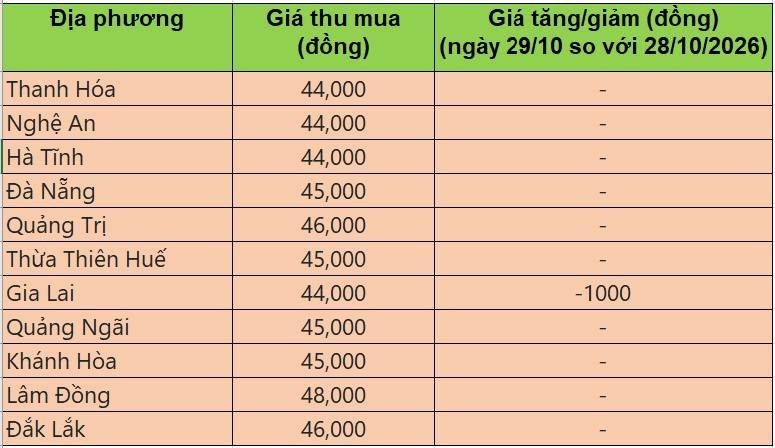 Bảng giá heo hơi tại miền Trung - Tây Nguyên hôm nay 29/10/2026