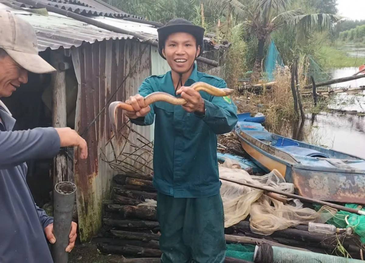 Nguyễn Thanh Nhã, người giữ nhịp sống giữa rừng U Minh Hạ