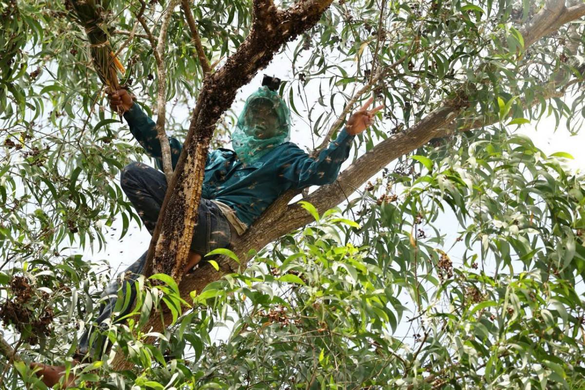 Nguyễn Thanh Nhã, người giữ nhịp sống giữa rừng U Minh Hạ