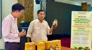 Tuần Giáo (Điện Biên) thúc đẩy thương mại điện tử, mở rộng thị trường nông sản