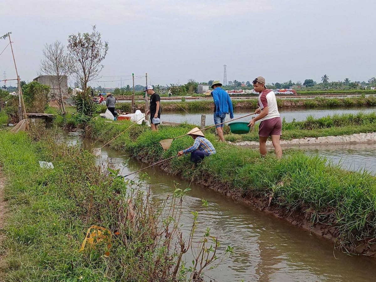 Lễ hội Rươi - Vĩnh Thuận 2026 lần thứ hai, với chủ đề “Về miền di tích, đón lộc phù sa”, sẽ diễn ra trong hai ngày 31/10 và 1/11/2026 tại Khu di tích lịch sử quốc gia Miếu Lác, thôn Lác, xã Vĩnh Thuận, thành phố Hải Phòng.