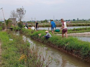 Hải Phòng: Vĩnh Thuận khơi thông nguồn lực, mở rộng dư địa phát triển kinh tế