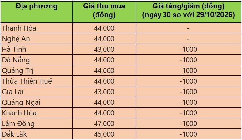 giá heo hơi
