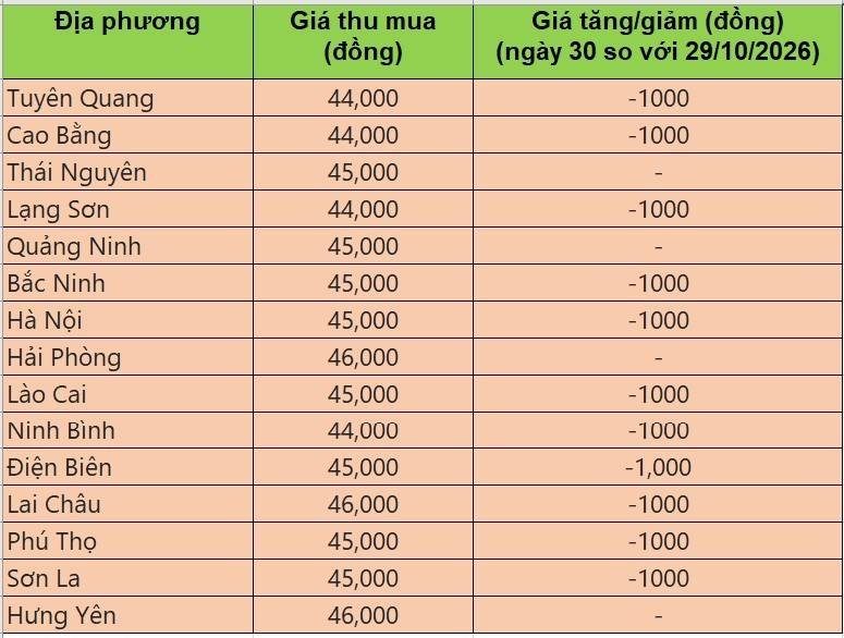 giá heo hơi