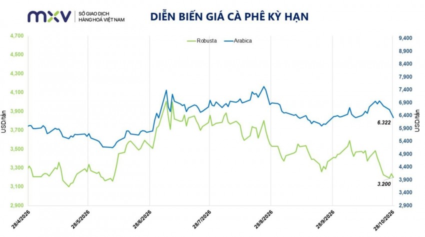Giá cà phê lao dốc phiên thứ năm liên tiếp dưới áp lực cung cầu