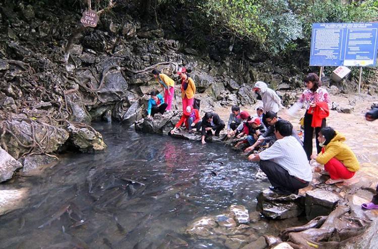 Thanh Hóa: Bùng nổ chuỗi sự kiện kích cầu du lịch mùa thấp điểm