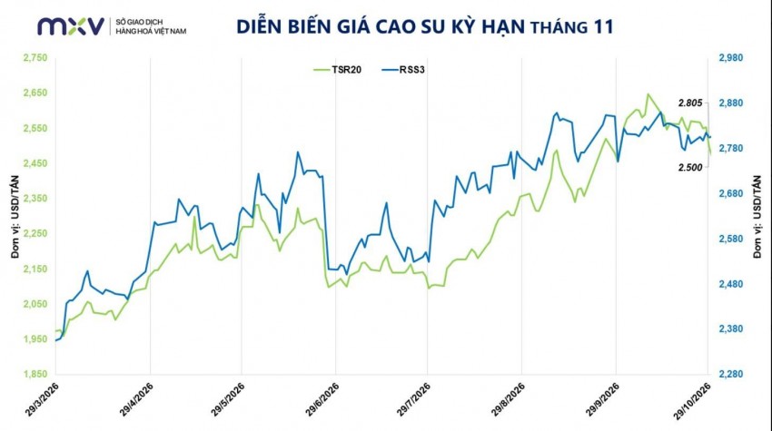 Giá cao su trượt giảm sâu dưới áp lực từ thị trường dầu mỏ và nhu cầu tiêu thụ ảm đạm