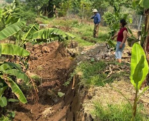 Phú Thọ: Sạt lở bờ sông Hồng ở xã Liên Minh diễn biến nghiêm trọng