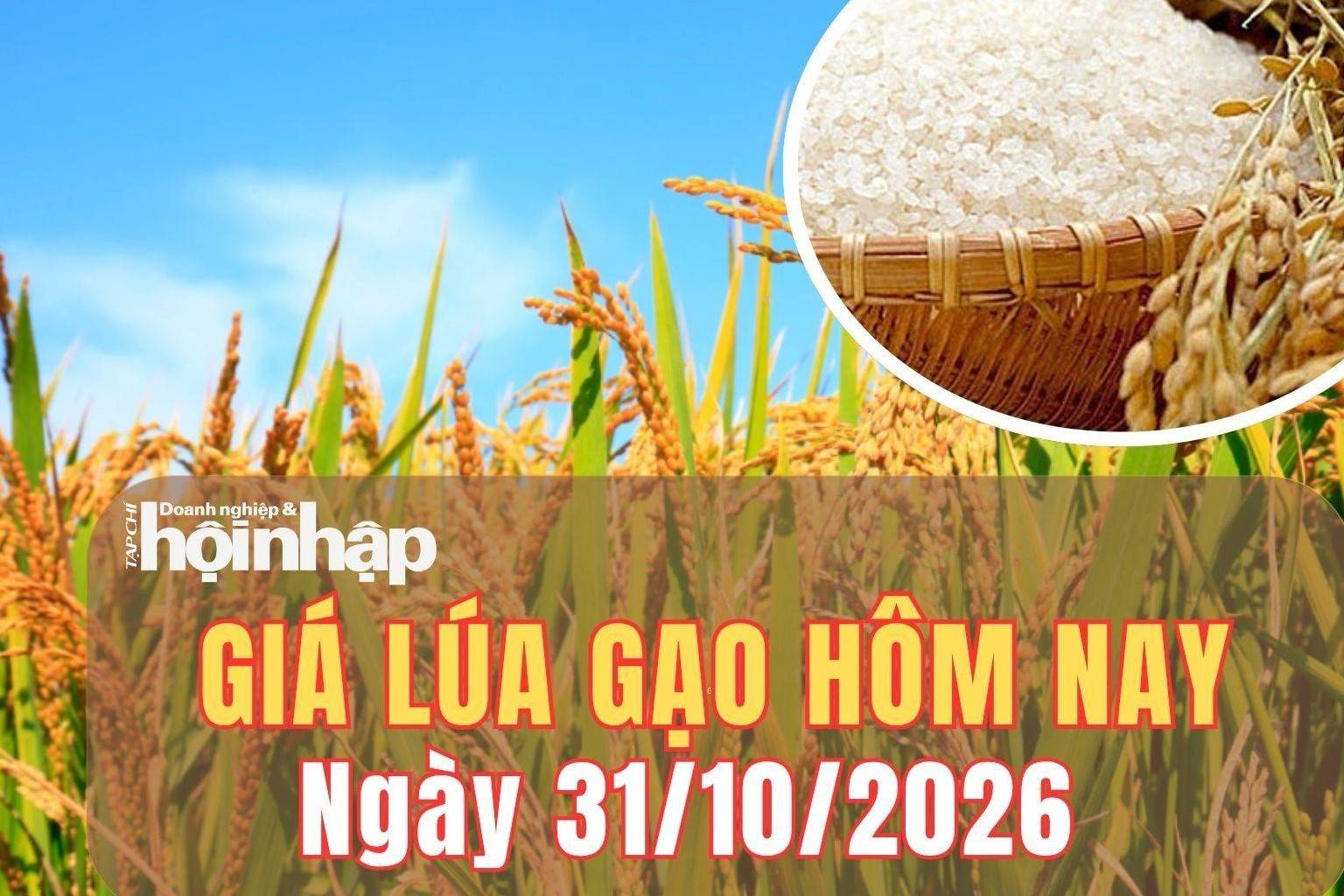 Giá lúa gạo hôm nay 31/10/2026: Giá lúa tươi trái chiều, gạo xuất khẩu tiếp tục tăng mạnh