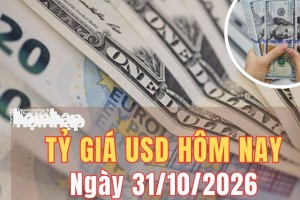 Tỷ giá USD hôm nay 31/10/2026: Đồng USD thế giới suy yếu
