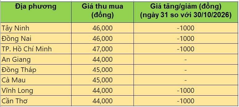 Bảng giá heo hơi tại miền Nam hôm nay 31/10/2026
