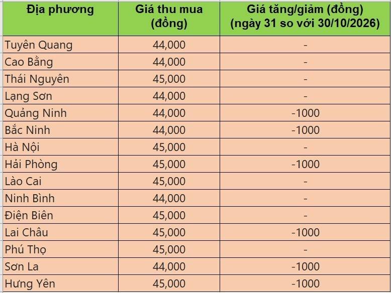 Bảng giá heo hơi tại miền Bắc hôm nay 31/10/2026