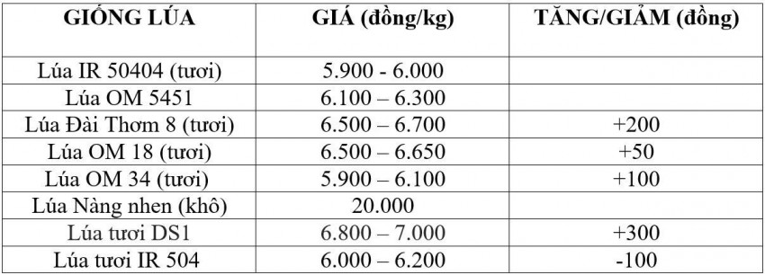 Bảng giá lúa hôm nay 31/10/2026