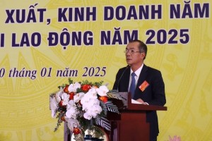 Tổng Giám đốc của một công ty chuyên khai thác vàng, bạc bị khởi tố vì nhận hối lộ