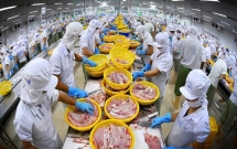 Thuế nhập khẩu thủy hải sản, rau quả, gạo... sang Anh giảm dần về 0%