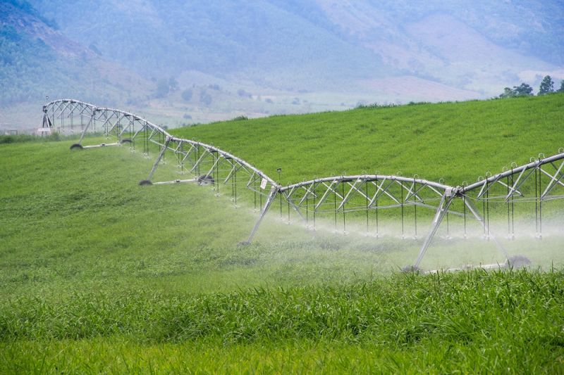 C&amp;aacute;nh tay tưới nước tự động của TH Milk