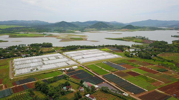 Tổng quan dự &amp;aacute;n rau sạch.