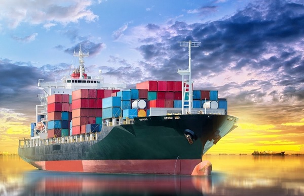 Tổng giám đốc/Giám đốc các doanh nghiệp phải chịu trách nhiệm trước pháp luật trong trường hợp để xảy ra vi phạm liên quan đến tờ khai hải quan xuất nhập khẩu các lô hàng sai phạm được thực hiện bằng chữ ký số và tài khoản đăng nhập khai báo hải quan điện tử của doanh nghiệp Tổng giám đốc/Giám đốc các doanh nghiệp phải chịu trách nhiệm trước pháp luật trong trường hợp để xảy ra vi phạm liên quan đến tờ khai hải quan xuất nhập khẩu các lô hàng sai phạm được thực hiện bằng chữ ký số và tài khoản đăng nhập khai báo hải quan điện tử của doanh nghiệp