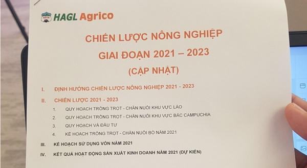 HAGL Agrico sẽ ph&amp;aacute;t triển 35.600 ha c&amp;acirc;y ăn tr&amp;aacute;i (chuối, xo&amp;agrave;i, dứa) v&amp;agrave; chăn nu&amp;ocirc;i b&amp;ograve; sinh sản, b&amp;ograve; thịt