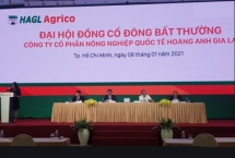 Ông Trần Bá Dương chính thức dẫn dắt HAGL Agrico