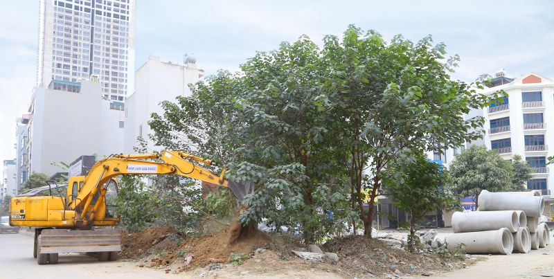 Ngay sau khi buổi lễ kết th&amp;uacute;c c&amp;aacute;c hạng mục thi c&amp;ocirc;ng nhanh ch&amp;oacute;ng được triển khai