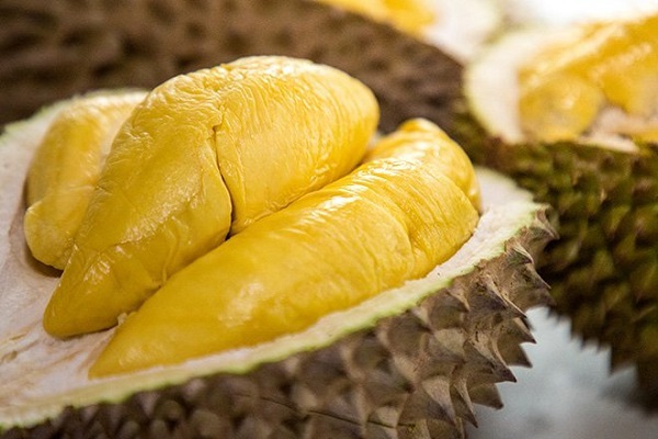 Sầu ri&amp;ecirc;ng l&amp;agrave; n&amp;ocirc;ng sản c&amp;oacute; gi&amp;aacute; trị cao, năng lực sản xuất sầu ri&amp;ecirc;ng của Việt Nam ng&amp;agrave;y c&amp;agrave;ng gia tăng