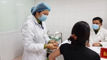 Vắc-xin NanoCovax an toàn và tạo phản ứng miễn dịch tốt