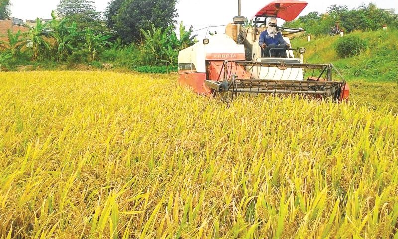 N&amp;ocirc;ng nghiệp sẽ vẫn tiếp tục l&amp;agrave; trụ đỡ của nền kinh tế trong năm 2021