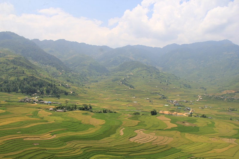 Ngọc Chiến với những c&amp;aacute;nh đồng đẹp như tranh vẽ