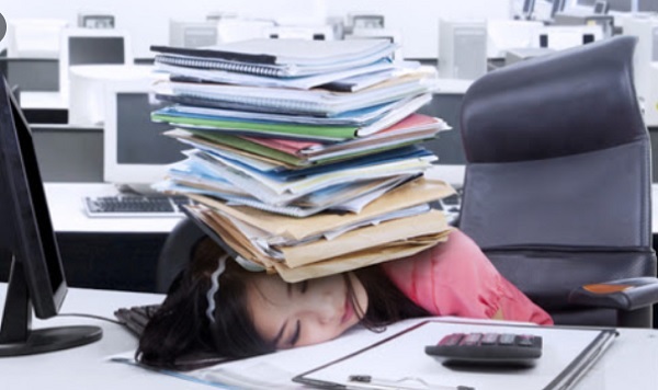 Kh&amp;ocirc;ng phải bất kỳ ai c&amp;oacute; tr&amp;igrave;nh độ, kỹ năng cũng được l&amp;agrave;m kế to&amp;aacute;n vi&amp;ecirc;n
