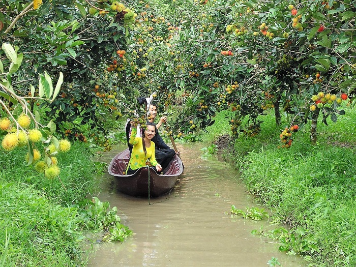 Ảnh minh họa