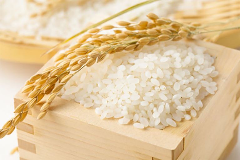 Gạo Việt Nam xuất khẩu
