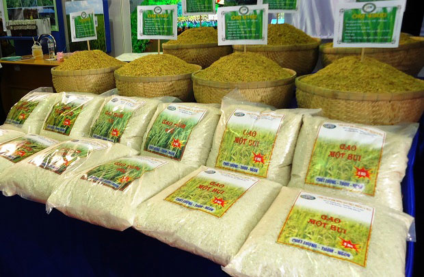 Gạo thơm xuất khẩu sang Li&amp;ecirc;n minh ch&amp;acirc;u &amp;Acirc;u được miễn thuế nhập khẩu