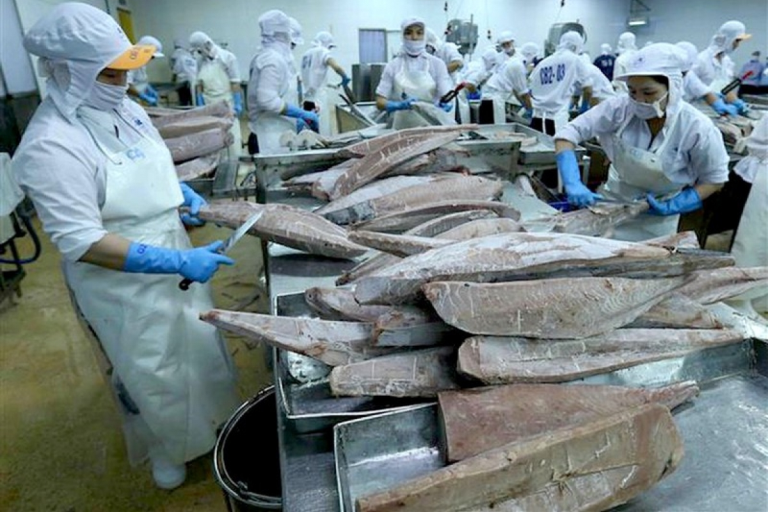 C&amp;aacute; ngừ xuất khẩu sang Hoa Kỳ