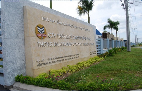 Lãi sau thuế của Cao su Thống nhất chỉ còn 73% cùng kỳ năm ngoái