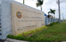 Lãi sau thuế của Cao su Thống nhất chỉ còn 73% cùng kỳ năm ngoái