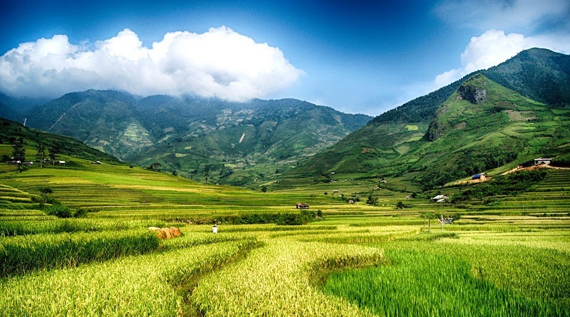 Ảnh minh họa