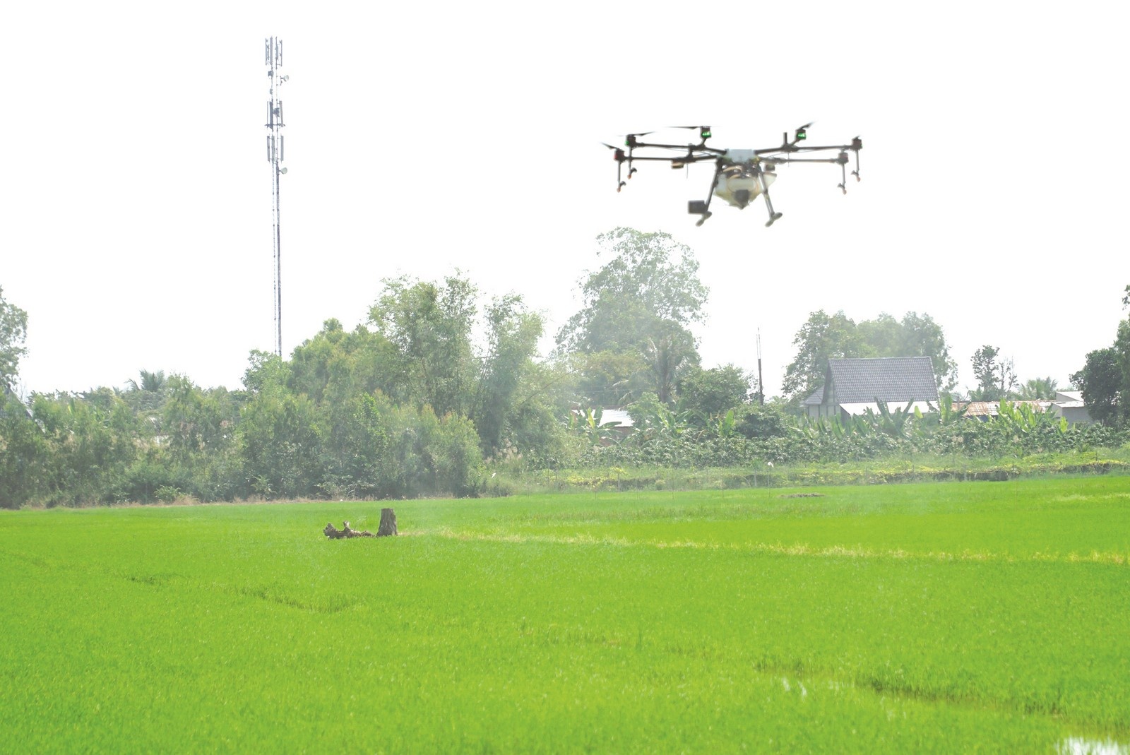 Chuyển đổi số l&amp;agrave; một trong những yếu tố then chốt gi&amp;uacute;p n&amp;ocirc;ng d&amp;acirc;n n&amp;acirc;ng cao năng suất, tối ưu h&amp;oacute;a sản xuất, giảm gi&amp;aacute; th&amp;agrave;nh v&amp;agrave; tăng lợi nhuận