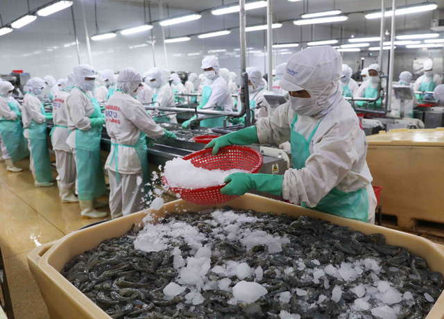 Xuất khẩu thủy sản 2023 sẽ giảm trong qu&amp;yacute; I v&amp;agrave; phục hồi v&amp;agrave;o cuối năm