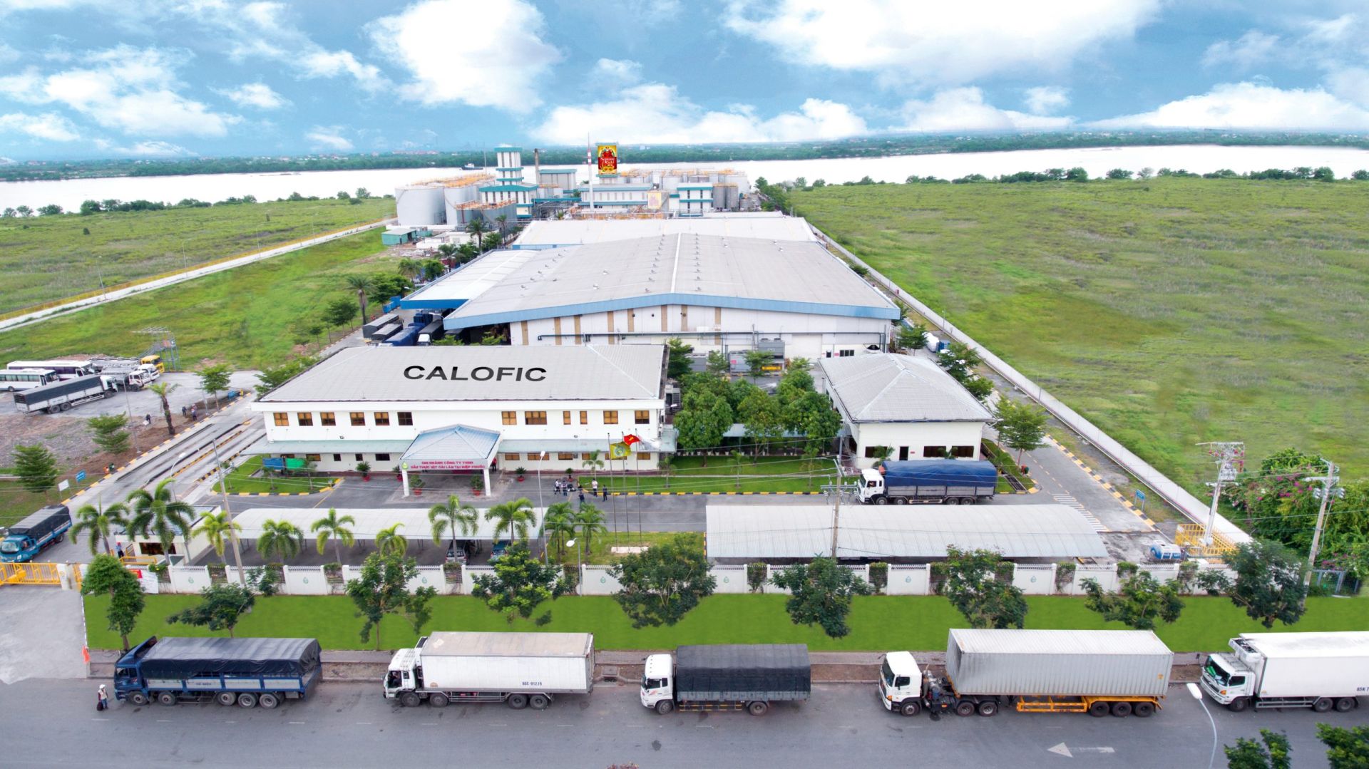 Vocarimex th&amp;ocirc;ng qua phương &amp;aacute;n tho&amp;aacute;i vốn tại C&amp;ocirc;ng ty TNHH Calofic