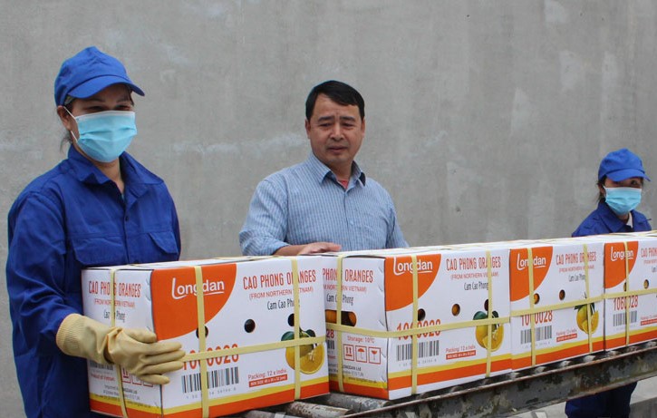 C&amp;ocirc;ng ty TNHH MTV Cao Phong vận chuyển hộp cam xuất khẩu sang thị trường mới.