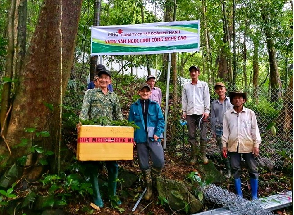 Người d&amp;acirc;n Xơ Đăng trồng s&amp;acirc;m được hưởng lợi từ Phi&amp;ecirc;n chợ S&amp;acirc;m Ngọc linh lần thứ 2