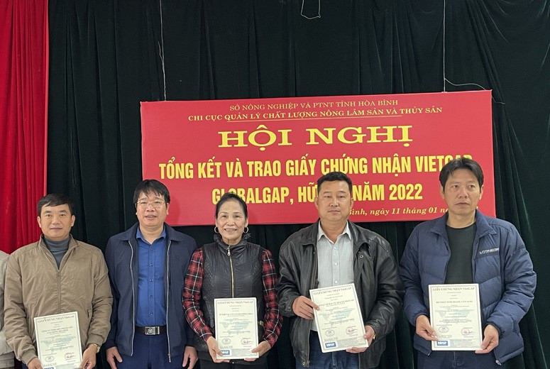 Đại diện l&amp;atilde;nh đạo Chi cục Quản l&amp;yacute; chất lượng n&amp;ocirc;ng l&amp;acirc;m sản v&amp;agrave; thủy sản tỉnh H&amp;ograve;a B&amp;igrave;nh trao giấy chứng nhận VietGAP, GlobalGAP, hữu cơ cho c&amp;aacute;c cơ sở sản xuất - kinh doanh.