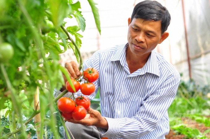 Ảnh minh họa Ảnh minh họa