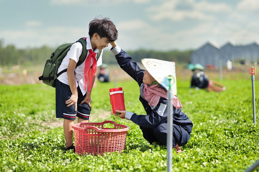 Từ rau m&amp;aacute; tươi, Vua Rau M&amp;aacute; cũng ph&amp;aacute;t triển sản xuất bột rau m&amp;aacute; c&amp;ugrave;ng những chế phẩm từ rau m&amp;aacute;
