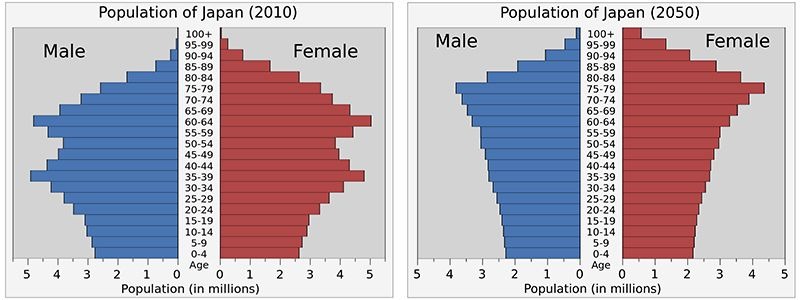 Th&amp;aacute;p d&amp;acirc;n số ở Nhật Bản năm 2010 v&amp;agrave; 2050: C&amp;oacute; sự thay đổi r&amp;otilde; rệt về số người trong tuổi lao động. (Ảnh: Wikipedia)