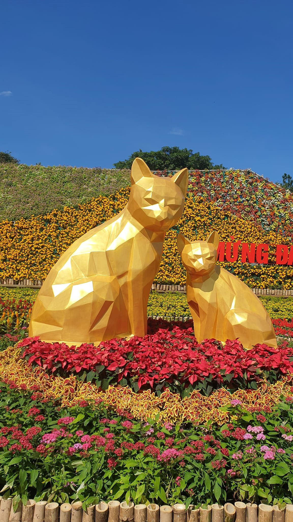 Linh vật mèo ở các địa phương Tết Nguyên Đán Quý Mão 2023