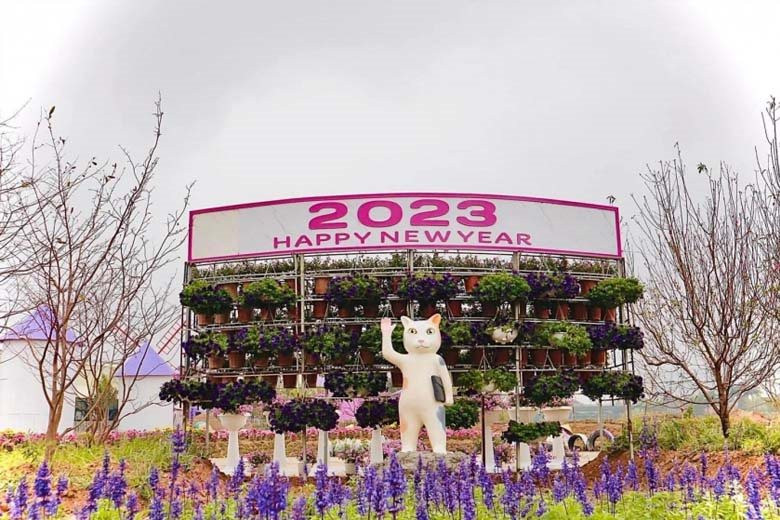 Linh vật mèo ở các địa phương Tết Nguyên Đán Quý Mão 2023