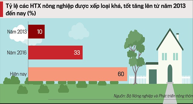 Tỷ lệ HTX xếp loại kh&amp;aacute;, tốt tăng nhanh